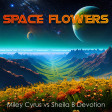 Captain Obvious - Space Flowers (Miley Cyrus vs Sheila B Devotion) (Sir Hank Reboot)