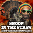 Snoop In The Straw (Dr. Dre ft. Snoop Dogg, Kurupt, Nate Dogg vs. Mike Scott)