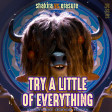 Shakira vs Erasure - Try A Little of Everything (Extended Dance Remix)