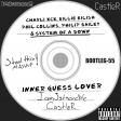 Inner Guess Lover (CastleR Collab)(Charli XCX/Billie/Phil Collins/Philip/System Of A Down)