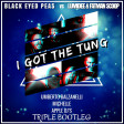 Black Eyed Peas vs Lumidee Fatman Scoop - I Got The Tung (Balza, Michelle, Apple Djs Bootleg)