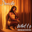 Doechii - What It Is (Dj Teo Try Again Mash Up)