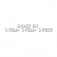 Linkin Park vs. Will Smith ft. Dru Hill, Kool Mo Dee - Lost in Wild Wild West 2k20 ( Mumdy Mashup )