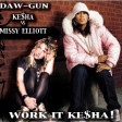 DAW-GUN - Work It Kesha! (Missy Elliott vs Kesha) [2010]