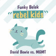 Funky Belek - Rebel kids (David Bowie vs. MGMT)