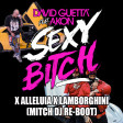 DAVID GUETTA  vs SHIVA-SFERA-GUE- Lamborghini x Alleluia x Sexy Bitch (Mitchdj bootleg rework)