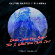 Where Have You Been? This Is What You Came For? (iZigui Remix) - Rihanna ft. Calvin Harris