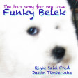 Funky Belek - I'm too sexy for my love (Right Said Fred vs. Justin Timberlake)
