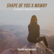 Shape of You X Mawby - Ed Sheeran X Miami Dub Machine (Filippo Hadu Mashup)