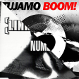 Linkin Park vs Tujamo - A Numb Boom (Overdrop Mashup)