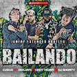 DEEJAYS CUBAN CEKY VICINY DJ SHORTY - Bailando (Janfry Extended Bootleg)