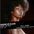 Mr.DJ -House Of Glass feat. Liz Hill - BOOT_REMIX  Andrea Cecchini & Luca J Master