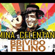 Brivido felino · MINA&CELENTANO (REWORK Giammarco Fiorillo & Bencas)