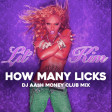 Lil Kim ft SIsqo - How Many Licks ( Dj AAsH Money Club Mix )