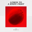 Wombats - Lemon to a knife fight (Bastard Batucada Facalimao Remix)