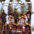 DJ Useo - Always On My Turn! ( The Byrds vs Pet Shop Boys )