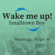 wake me up smalltown boy (Allan H mashup 2017)
