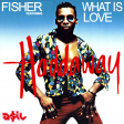 Fisher feat. Haddaway - What Is Love (ASIL Mashup)