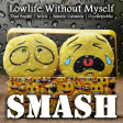 Lowlife Without Myself (That Poppy vs. Avicii ft. Sandro Cavazza vs. OneRepublic)