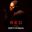 STE - RED (DOMY-R Remix)