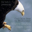Where Eagles Have Been Lost (Cool Calm Pete vs. Wolfmother)