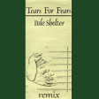 Pale Shelter (Tears for Fears) rmx