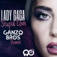 Lady Gaga - Stupid Love (Ganzo Bros Remix)
