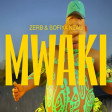 Zerb - Mwaki Vs Mercury Superstar (nico la targia) mashup