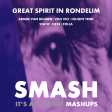 Great Spirit in Rondelim (Armin van Buuren vs. Vini Vici vs. Static vs. Ness ft. Stilla)