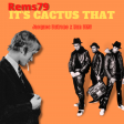 Rems79 - It's cactus that (Run Dmc x Jacques Dutronc)