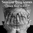 Satellite Only Knows ( Beach Boys vs XTC )