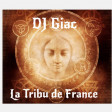 Karol G/ Manau/ La Grande Sophie/ Mike Oldfield - La Tribu de France (DJ Giac Mashup)