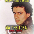 BNKR, Pino D'Angiò - Che Idea (Gsonar & Roundolf Bootleg Mashup)