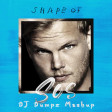 Avicii vs Ed Sheeran vs LMFAO - Shape of SOS (DJ Dumpz Mashup)