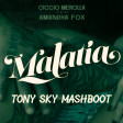 Ciccio Merolla - Malatìa (Tony Sky Mashboot)
