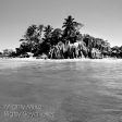 Rigby-Seychelles (The Beatles / Julien Doré) (2014)
