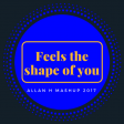 feels the shape of you (Allan H mashup 2017)