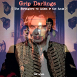 D Useo - Grip Darlings ( The Stranglers vs Adam & the Ants )