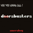 Doorsbusters (The Doors vs Ray Parker Jr) (2011)