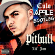 Pitbull feat. Lil Jon - Culo (Apple Dj's Bootleg)