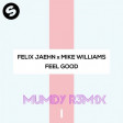 Felix Jaehn X Mike Williams - FEEL GOOD 2017 ( Mumdy Remix )