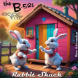 The B-52s & Arcade Fire - Rabbit Shack | Summer Booty 2024