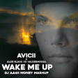 Avicii x Aloe Blacc vs Valdermossa - Wake Me Up (Dj AAsH Money Mashup)