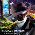 Snowball Brother ( Avicii vs Devo )