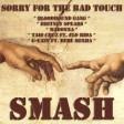 Sorry For The Bad Touch (Bloodhound Gang/B. Spears/Madonna/Taio Cruz ft. Flo Rida/G-Eazy)
