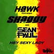 Hawk feat. Shaggy & Sean Paul - Hey Sexy Lady (ASIL Mashup)