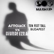 Afrojack vs. George Ezra - Ten Feet Tall Budapest (Tropea & Bonura Mash Up)
