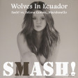 Wolves In Ecuador (Sash! vs. Selena Gomez, Marshmello)
