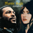 Instamatic - Marvin Gayle (Gayle - ABCDEFU vs Marvin Gaye - What's Going On)
