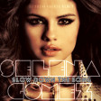 Selena Gomez - Slow Down the Song (DJ Yoshi Fuerte Remix)